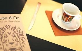 Hotel Brasserie Le Lion D'Or